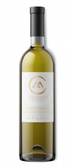 Pinot Grigio Bottle